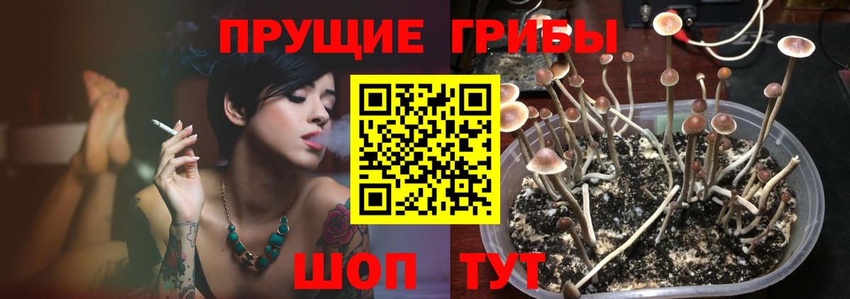 Галлюциногенные грибы Magic Shrooms  Псилоцибиновые грибы мухоморы  Электросталь  Вход с VPN 